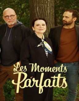 Les moments parfaits saison 1