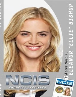 NCIS : Enquêtes Spéciales saison 11