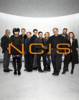 NCIS : Enquêtes Spéciales saison 14