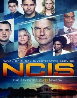 NCIS : Enquêtes Spéciales saison 17
