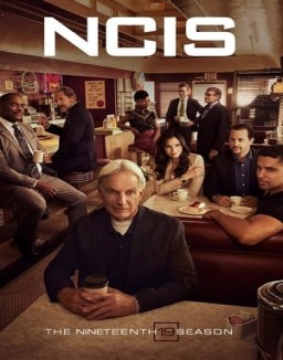 NCIS : Enquêtes Spéciales saison 19