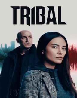 Tribal saison 2