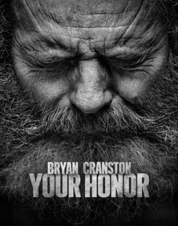 Your Honor saison 1